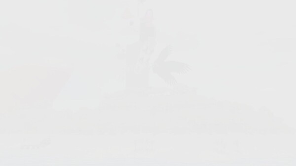 HANEHOLO! screenshot thumbnail video