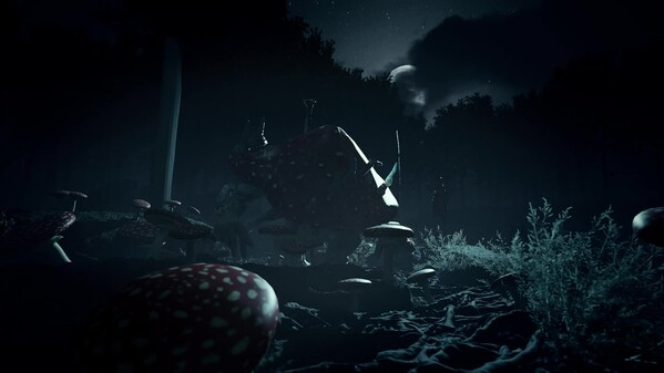 Night is Coming