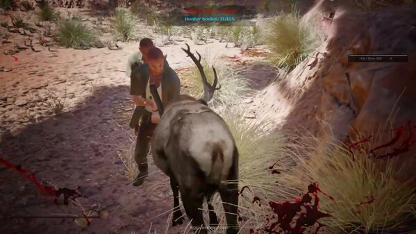 Deer Showcase