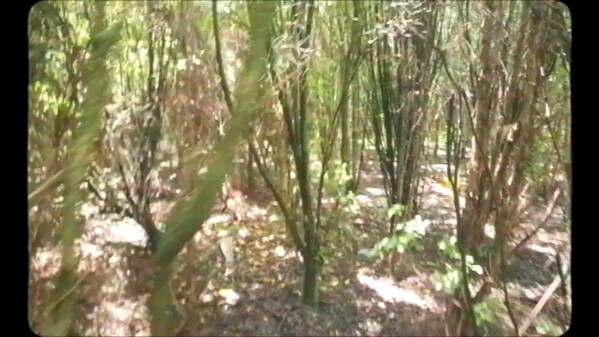 On Roads Between TEASER