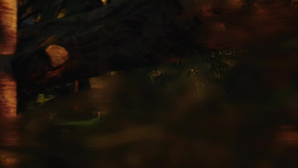 Teaser - The Most Dangerous Game