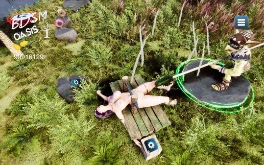 BDSM Oasis - interactive physics simulation screenshot thumbnail video