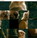 General / Cinematic | monkeymonkey