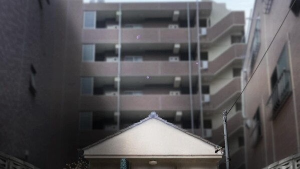 Kanashibari_PV_JPN