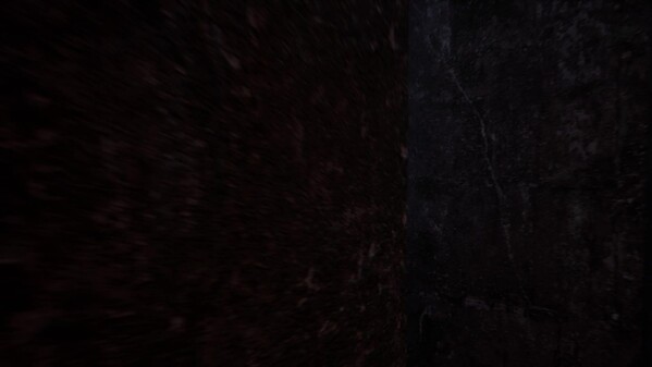 ShadyVale Jester Trailer