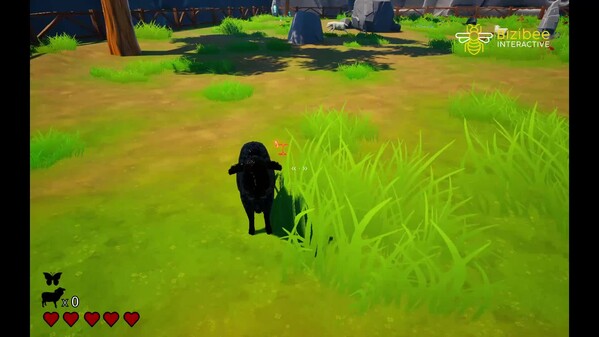 SHEEP