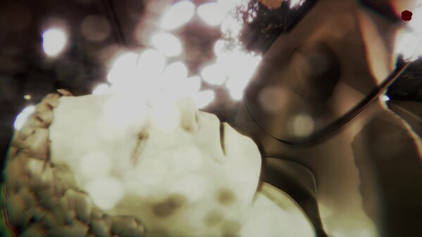 Undying Flower