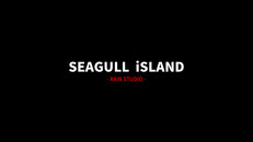 Gameplay | Seagull isLand