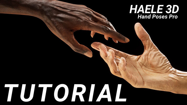 TUTORIAL - HAELE 3D - Hand Poses Pro - Drawing References