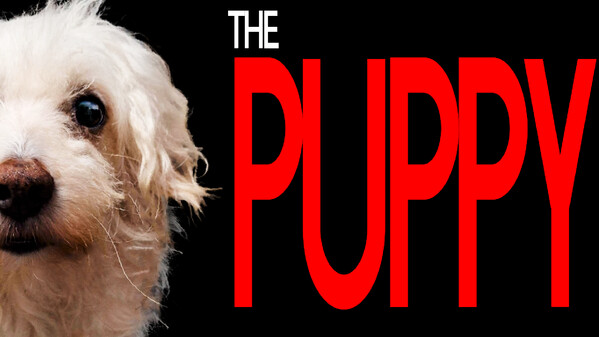The Puppy screenshot thumbnail video