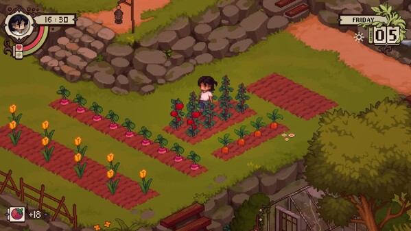 Reveal Trailer