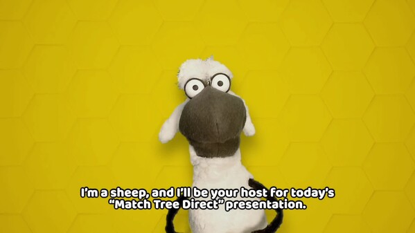 Match Tree Direct Teaser