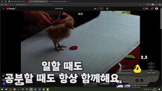 게임플레이 | Next_Fest_kr