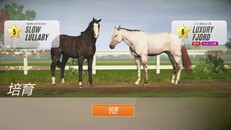 玩法展示 | Simplified Chinese Display Trailer 2025