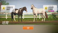 遊戲玩法 | Traditional Chinese Display Trailer 2025