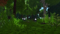 Teaser | Meet Stridewing