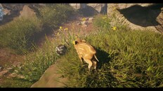 Gameplay | Highlands Gameplay