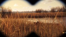 Тизер | first teaser