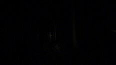 General / Cinematic | Trailer