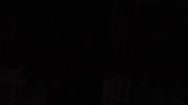 Reflections of Life: Call of the Ancestors Collector's Edition screenshot thumbnail video