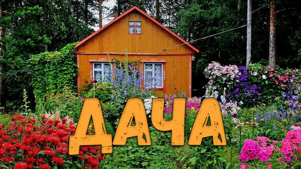 DACHA screenshot thumbnail video