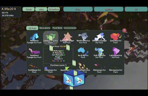 Entering the koi world