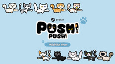 Gameplay | PushPushDemo