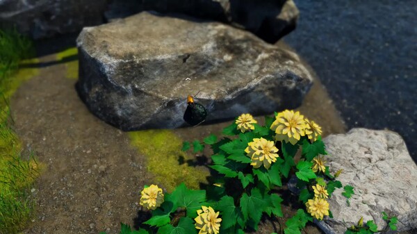 Strong Crab screenshot thumbnail video