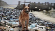 Gameplay | Restore Your Island