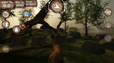 Gameplay | Animal Possession