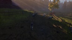 Gameplay | Gameplay Trailer