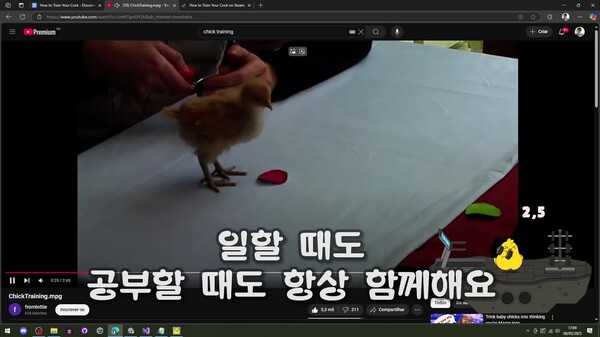 짐닭