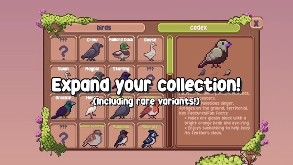 Little Aviary screenshot thumbnail video