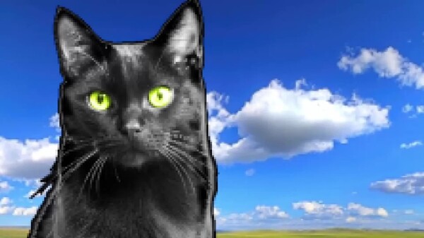 Cinematic trailer video thumbnail for Lovecraft's Cat