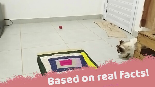 Mimi in Meowndering House Announcement Trailer