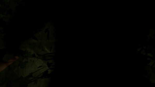 Ruins Of Fear screenshot thumbnail video