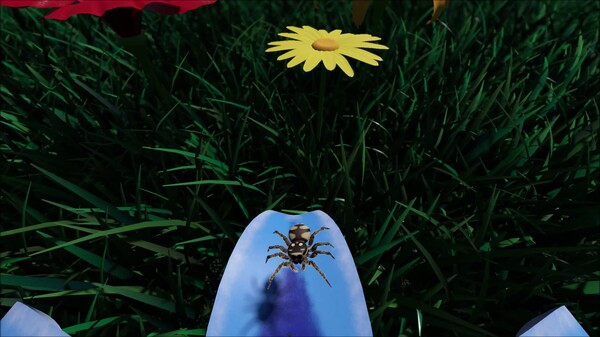 A little Jumpingspider's Garden Adventure (Announcement Trailer)