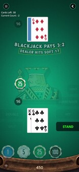 Steve's Blackjack Trainer Pro screenshot thumbnail video