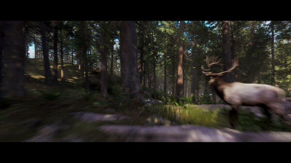 New Laurentia reveal 