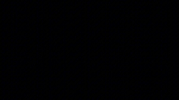 THE BUNKER FREAK - Official Trailer