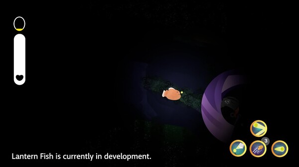 Lantern Fish In Development