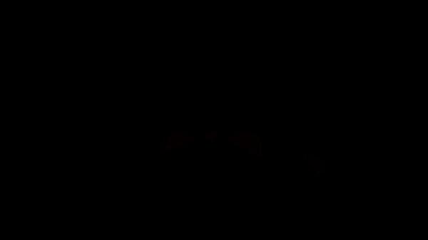 MalO On Camera Deluxxx