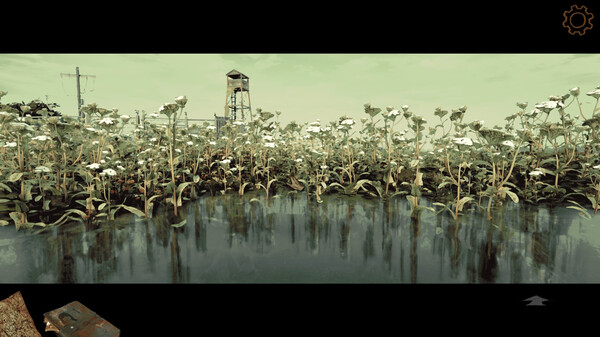 Back in the Swamp - Trailer