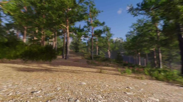 Forest Tower - Trailer 2