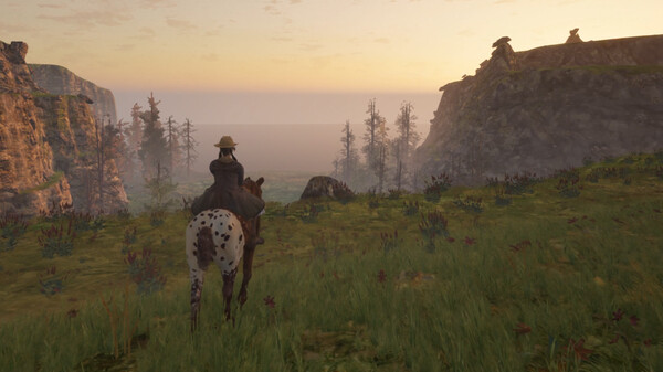 Wind's Heartbeat Steam trailer