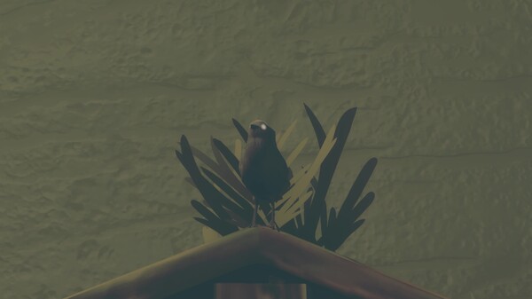 Birds Watching screenshot thumbnail video