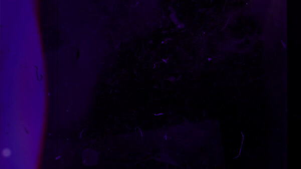 Vanishing In The Island Halphéra: Official Trailer