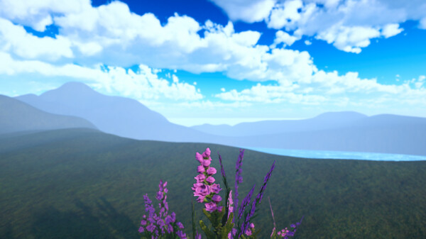 The Little Grass Simulator