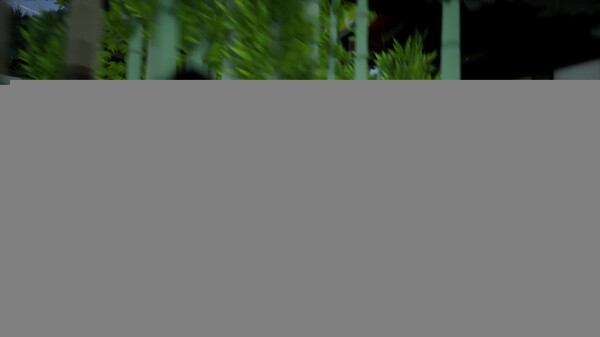 SurrounDead Poly ‌Japan Sakura