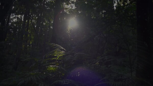 《无人岛哪有这么爽》完整预告